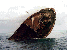 Wrack (oberer Teil)